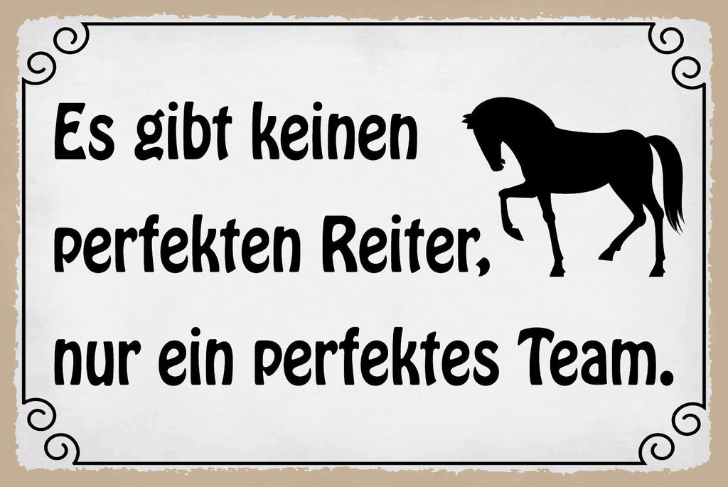 Schild Perfekter Reiter Team Pferd Reiten 12x18 / 20x30 / 30x40 Blech od. Holz