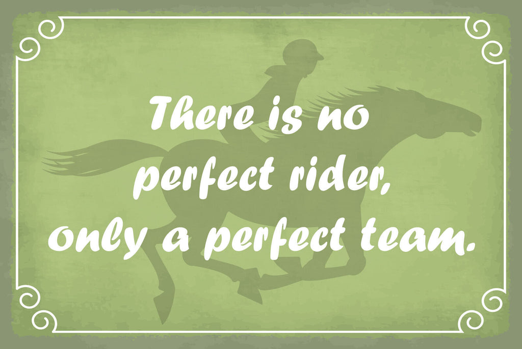 Schild Perfect Rider Team Pferd Reiten 12x18 / 20x30 / 30x40 Blech od. Holz
