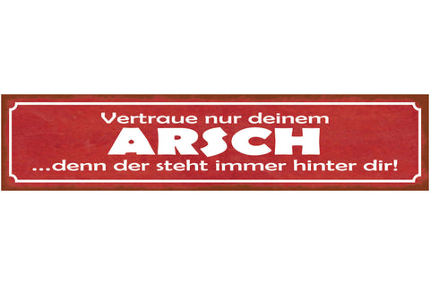 Schild Vertraue Nur Deinem Arsch Denn Der Steht Immer Hinter Dir Hintern 46 x 10