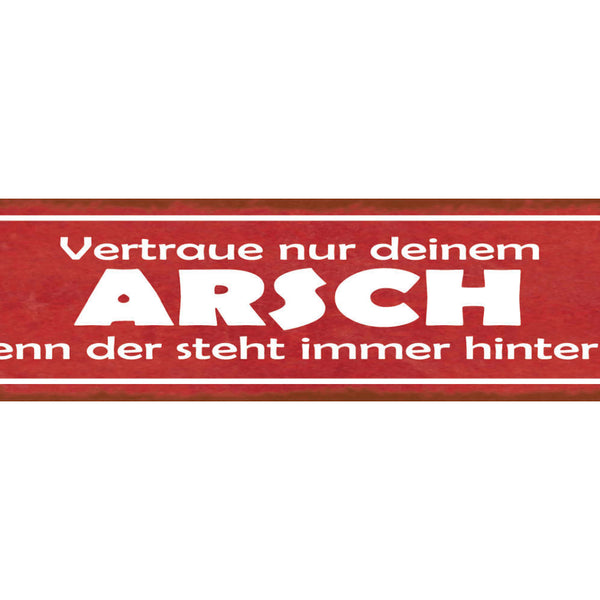 Schild Vertraue Nur Deinem Arsch Denn Der Steht Immer Hinter Dir Hintern 46 x 10