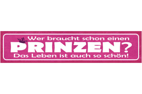 Schild Wer Braucht Schon Einen Prinzen Das Leben Ist Auch So Schön Liebe 46 x 10