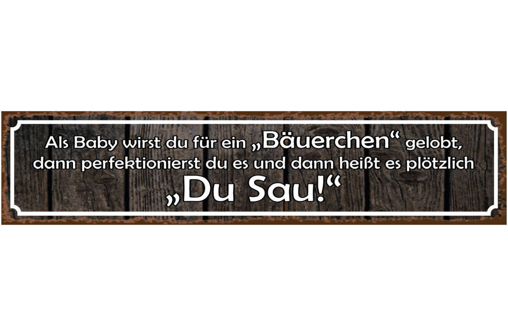 Schild Baby Bäuerchen Aufstoßen Rülpsen Perfektion Sau 46 x 10 Blech od. Holz