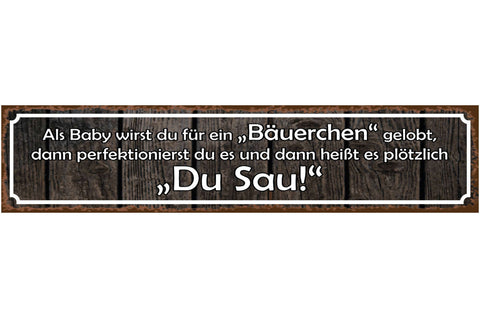 Schild Baby Bäuerchen Aufstoßen Rülpsen Perfektion Sau 46 x 10 Blech od. Holz