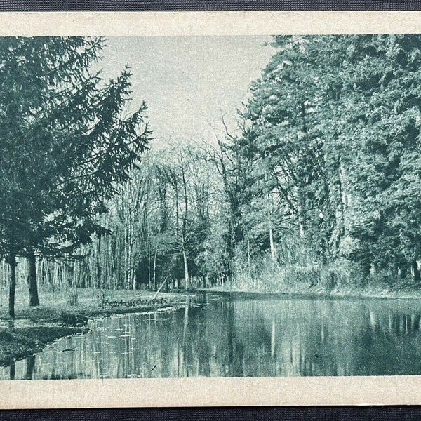Fluss Bach Wald Baum Park Au Gebiet Italien? 410154 TH C