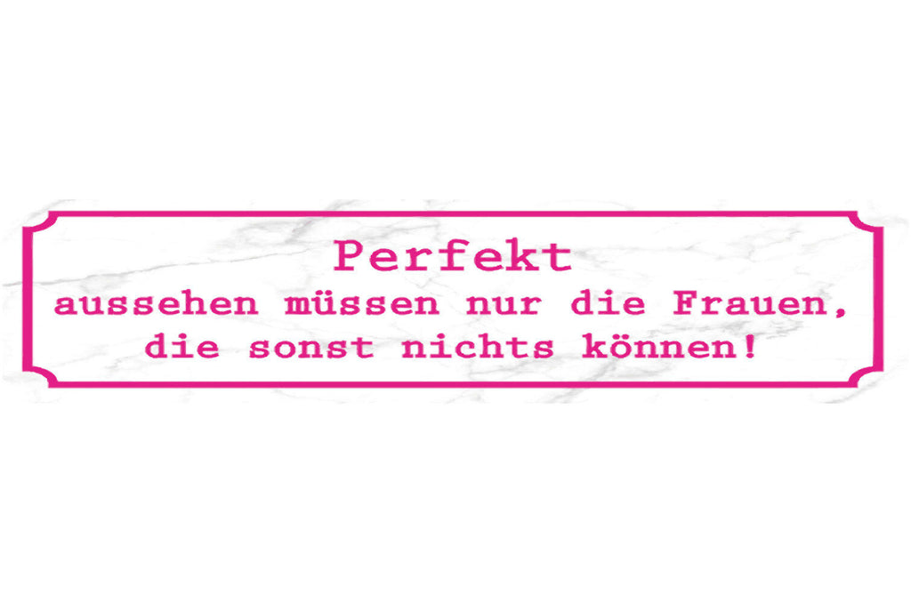 Schild Perfekt Aussehen Schönhheit Können Fehler Talent 46 x 10 Blech od. Holz
