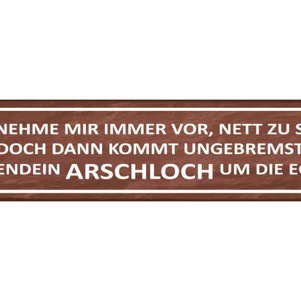 Schild Vorsatz Plan Nett Freundlich Arschloch Ärger Frust 46 x 10 Blech od. Holz