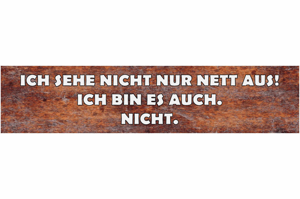 Schild Wilder Sex Geld Brieftasche Vermehren Geldbörse 46 x 10 Blech od. Holz
