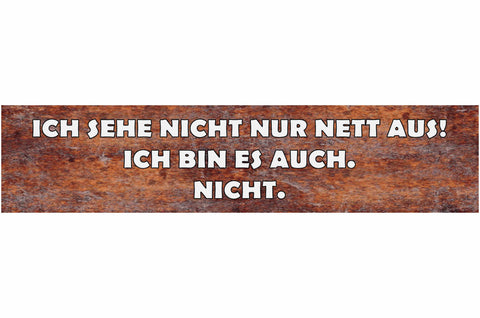 Schild Wilder Sex Geld Brieftasche Vermehren Geldbörse 46 x 10 Blech od. Holz