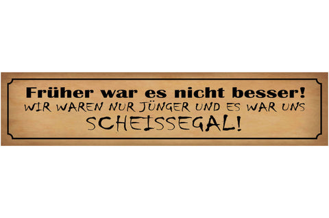 Schild Früher Nicht Besser Jünger Jung Jugend Scheissegal 46 x 10 Blech od. Holz