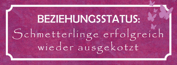 Schild Beziehungsstatus Schmetterlinge Erfolgreich Wieder Ausgekotzt 27x10