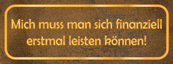 Schild Mich Muss Man Sich Finanziell Erstmal Leisten Können 27x10 Blech od.Holz