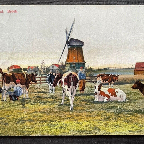 Waterland Broek Kuh Windmühle Bauer Landschaft Niederlande Holland 410111 TH