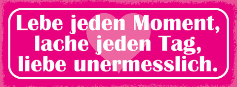 Schild Lebe Jeden Moment Lache Jeden Tag Liebe Unermesslich 27x10 Blech od.Holz