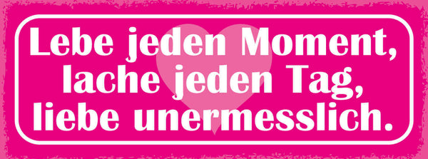 Schild Lebe Jeden Moment Lache Jeden Tag Liebe Unermesslich 27x10 Blech od.Holz
