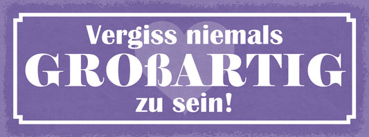 Schild Vergiss Niemals Großartig Zu Sein Leben Liebe Freunde 27x10 Blech od.Holz