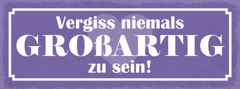 Schild Vergiss Niemals Großartig Zu Sein Leben Liebe Freunde 27x10 Blech od.Holz