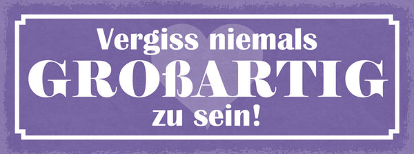 Schild Vergiss Niemals Großartig Zu Sein Leben Liebe Freunde 27x10 Blech od.Holz