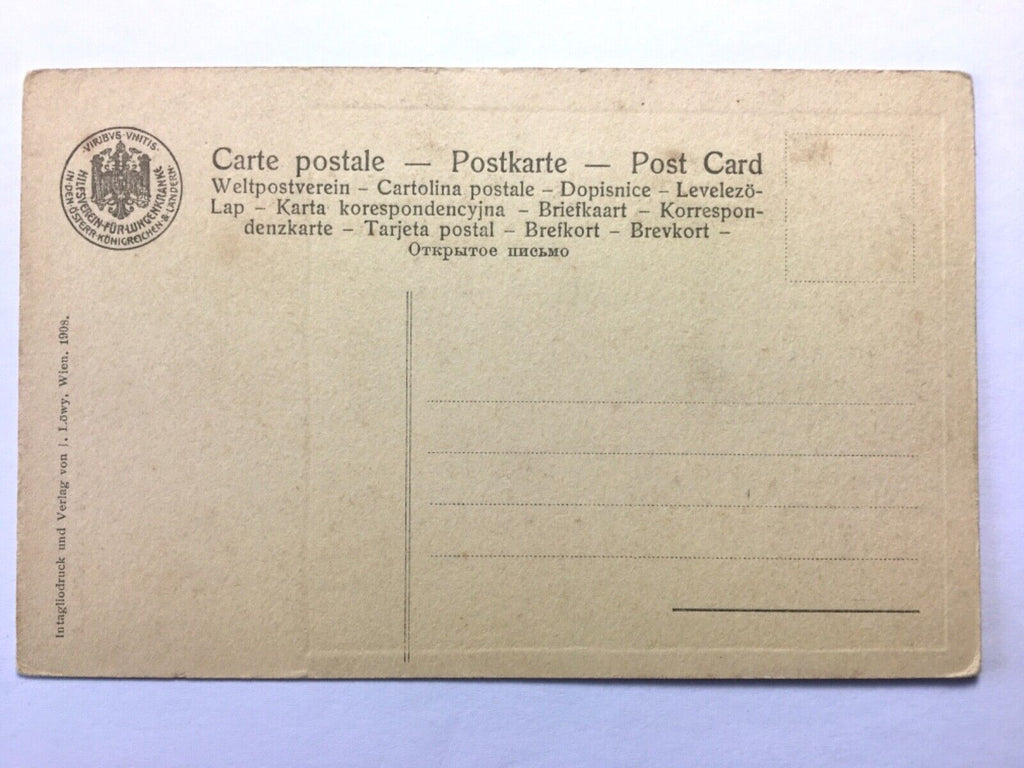 Bildnis (Pordenone) - Mann mit Buch - Künstlerkarte 30156 TH