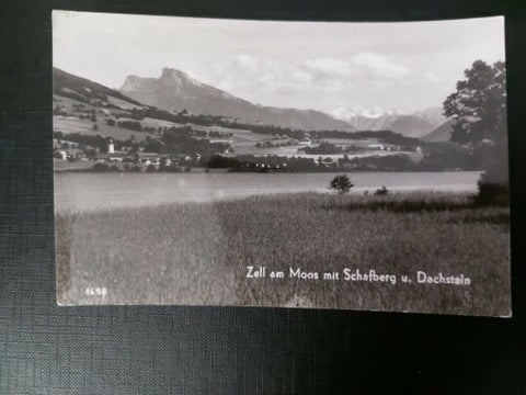 Zell am Moos mit Schafberg und Dachstein Alpen Gletscher Berg 402603 WM