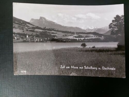 Zell am Moos mit Schafberg und Dachstein Alpen Gletscher Berg 402603 WM