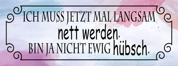 Schild Ich Muss Jetzt Mal Langsam Nett Werden Bin Ja Nicht Ewig Hübsch 27x10