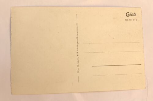 AK, Hessen, Bad Wildungen, Reinhartshausen, Schwanenteich (40007 BW)