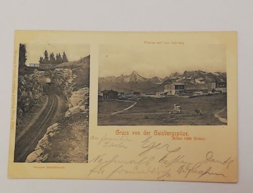 Salzburg Gaisberg Spitze Gruß Großer Durchbruch Kühe Eisenbahn 600300A tl