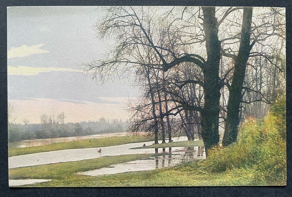 A L'oree Du Bois Am Waldrand Baum Natur Malerei Frankreich 402638 TH C