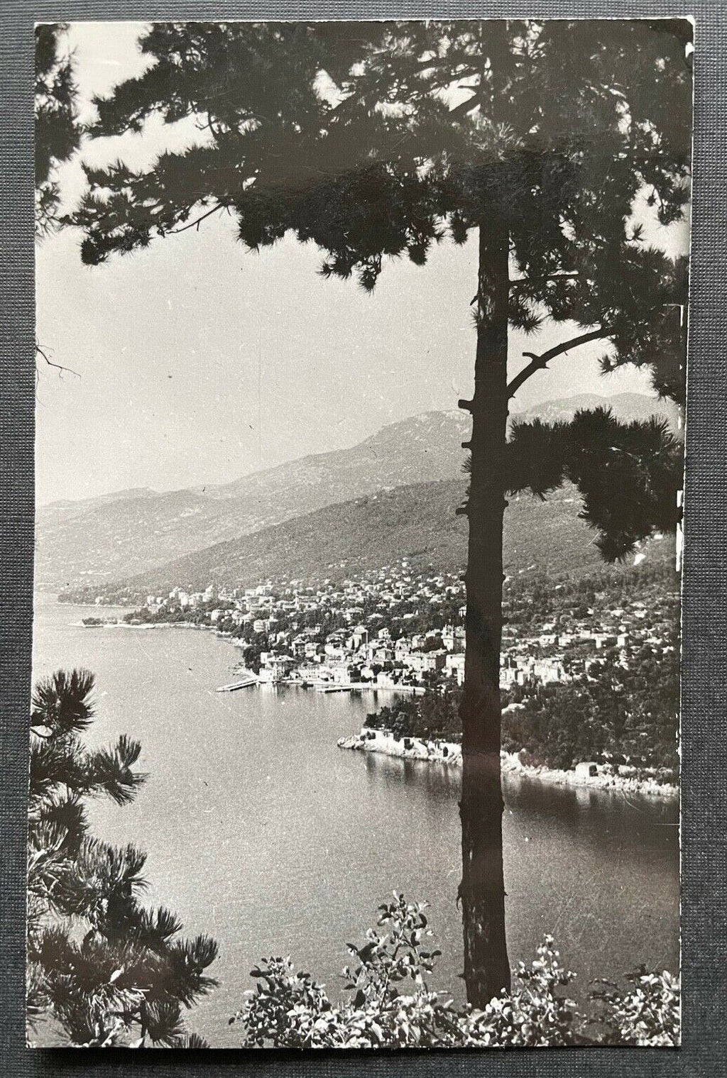 Opatija Seebad Bucht Ufer Istrien Baum Berg Kroatien Jugoslawien 402681 TH C