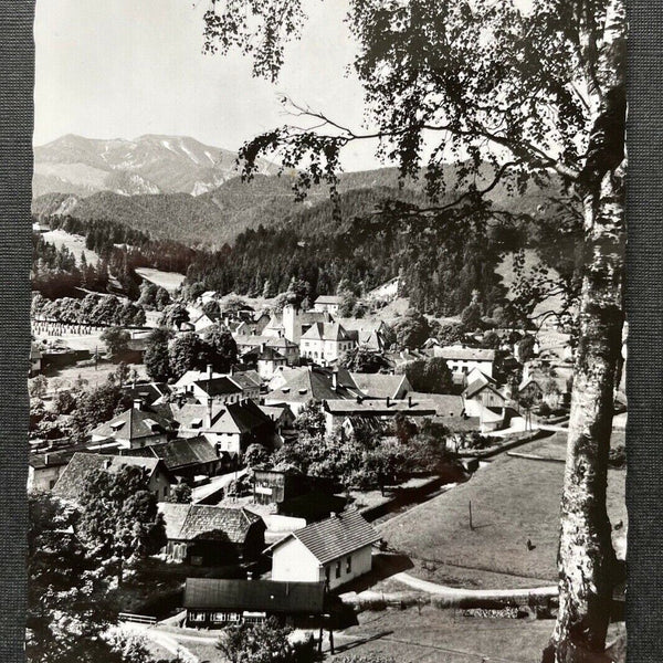 Sommerfrische St.Aegyd am Neuwalde Göller Ortschaft Niederösterreich 402678 TH C
