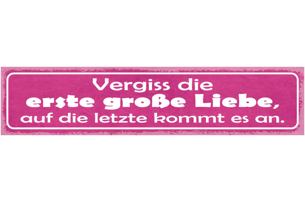 Schild Vergiss Die Erste Große Liebe Auf Die Letzte Kommt Es An 46 x 10