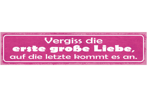 Schild Vergiss Die Erste Große Liebe Auf Die Letzte Kommt Es An 46 x 10