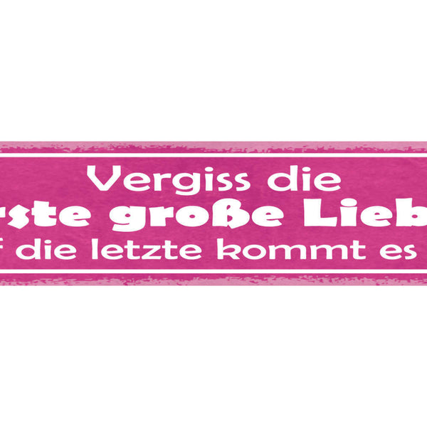 Schild Vergiss Die Erste Große Liebe Auf Die Letzte Kommt Es An 46 x 10