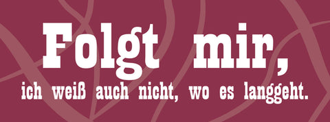 Schild Folgt Mir Ich Weiss Auch Nicht Wo Es Langgeht 27 x 10 Blech od. Holz