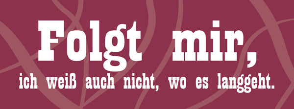 Schild Folgt Mir Ich Weiss Auch Nicht Wo Es Langgeht 27 x 10 Blech od. Holz