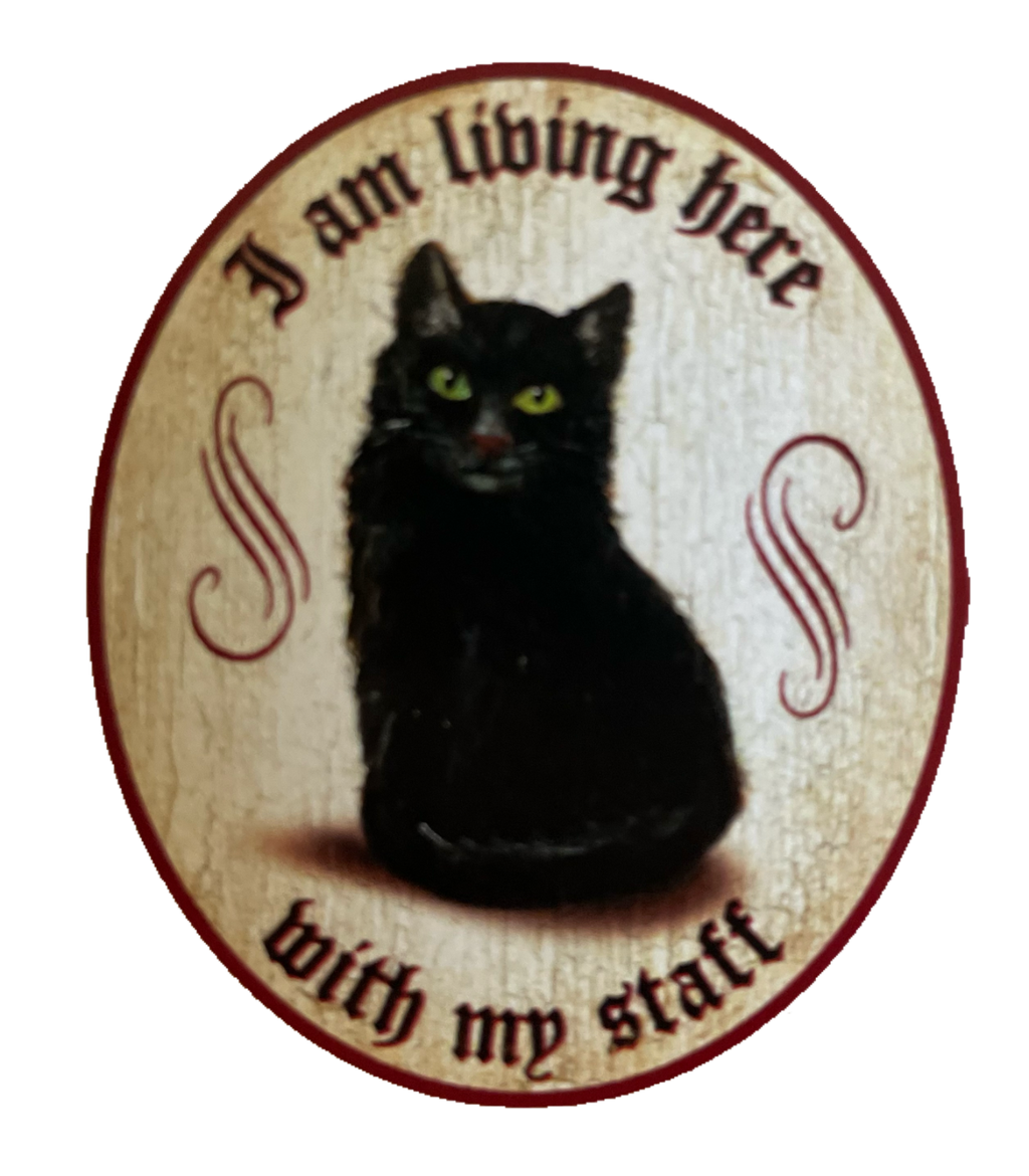 Nostalgie Holz Schild We Are Living Here With Our Staff Katzen Katze Personal