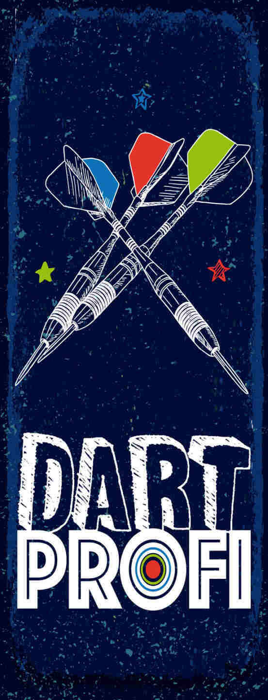 Schild Dart Profi Darten Spiel Pfeil Scheibe Darts Hobby 27x10 Blech od.Holz