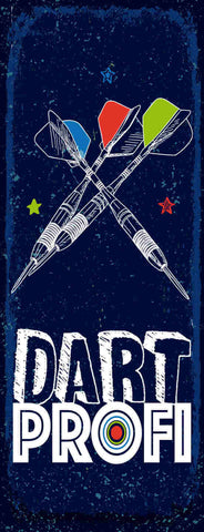 Schild Dart Profi Darten Spiel Pfeil Scheibe Darts Hobby 27x10 Blech od.Holz