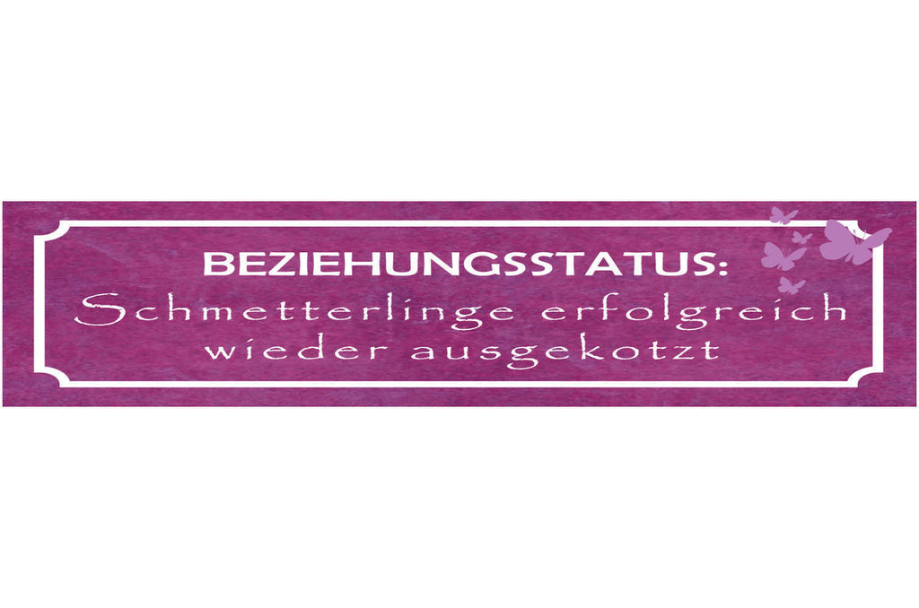 Schild Beziehung Status Schnetterlinge Trennung Liebe Ehe 46 x 10 Blech od. Holz