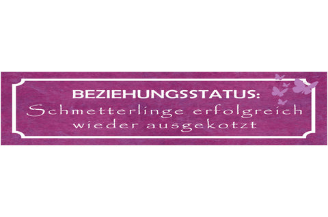 Schild Beziehung Status Schnetterlinge Trennung Liebe Ehe 46 x 10 Blech od. Holz