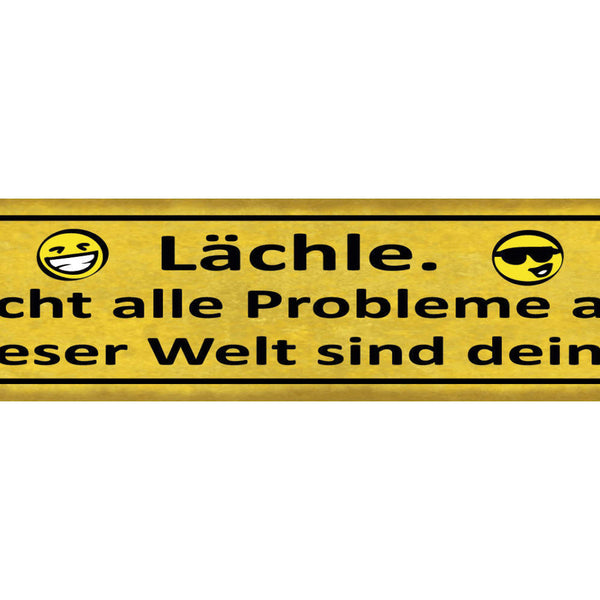 Schild Lächle Nicht Alle Probleme dieser Welt sind Deine 46 x 10 Blech od. Holz