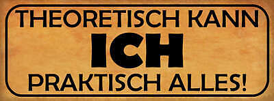 Schild Theoretisch Kann Ich Praktisch Alles Fähigkeiten 27x10 Blech od.Holz