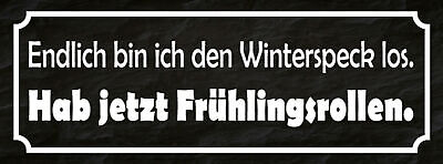 Schild Endlich Bin Ich Den Winterspeck Los Hab Jetzt Frühlingsrollen 27x10