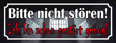 Schild Bitte Nicht Stören Ich Bin Schon Gestört Genug 27x10 Blech od.Holz