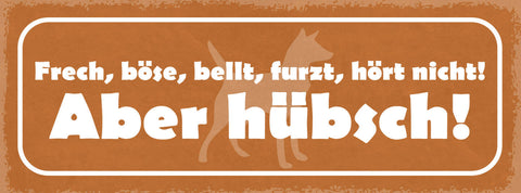 Schild Frech Böse Bellt Furzt Hört Nicht Aber Hübsch Hund 27x10 Blech od.Holz
