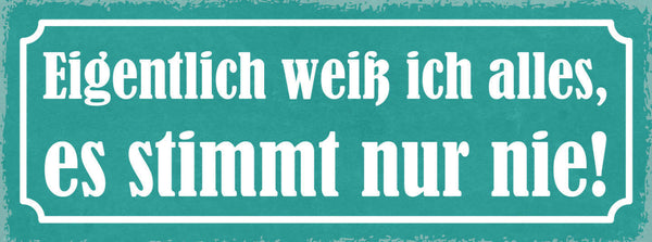 Schild Eigentlich Weiß Ich Alles Es Stimmt Nur Nie Wissen 27x10 Blech od.Holz