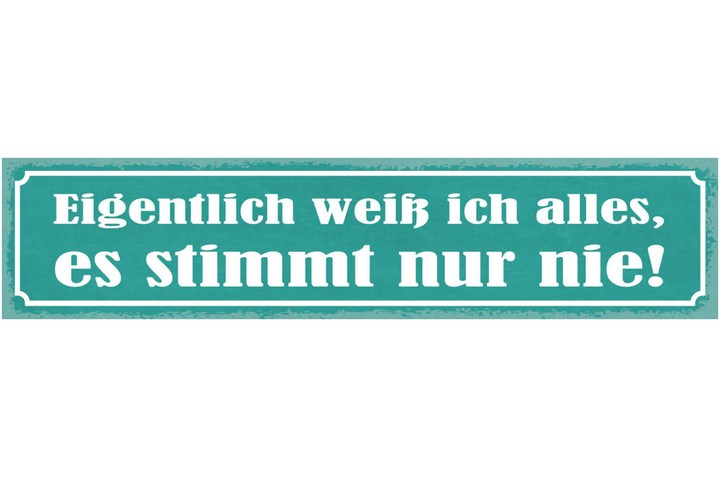 Schild Eigentlich Weiß Ich Alles Es Stimmt Nur Nie Falsch 46 x 10 Blech od. Holz