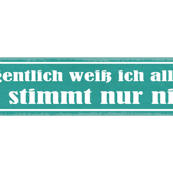 Schild Eigentlich Weiß Ich Alles Es Stimmt Nur Nie Falsch 46 x 10 Blech od. Holz