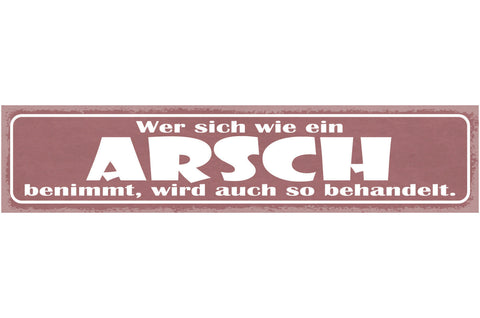 Schild Wer Sich Wie Ein Arsch Benimmt Wird Auch So Behandelt 46 x 10