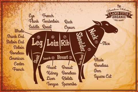 Nostalgie Schild Lamb Cuts Lamm Diagramm 12x18 / 20x30 / 30x40 Blech od. Holz